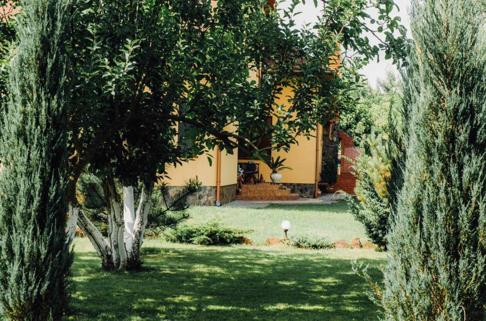 Villa Fenix Berehove  Eksteriør bilde